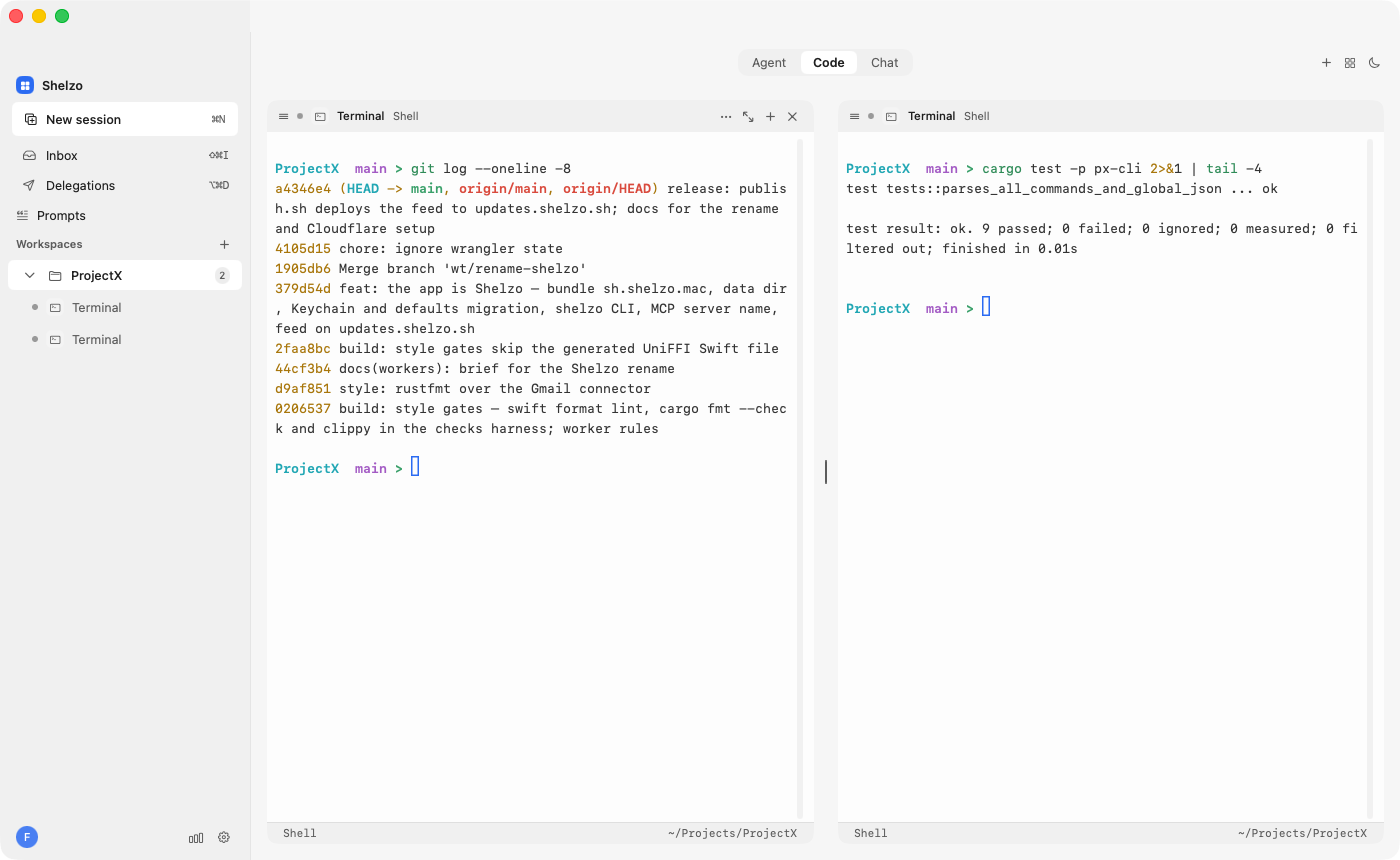 Shelzo Code with two terminal panes side by side in a project folder.